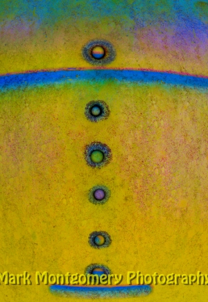973