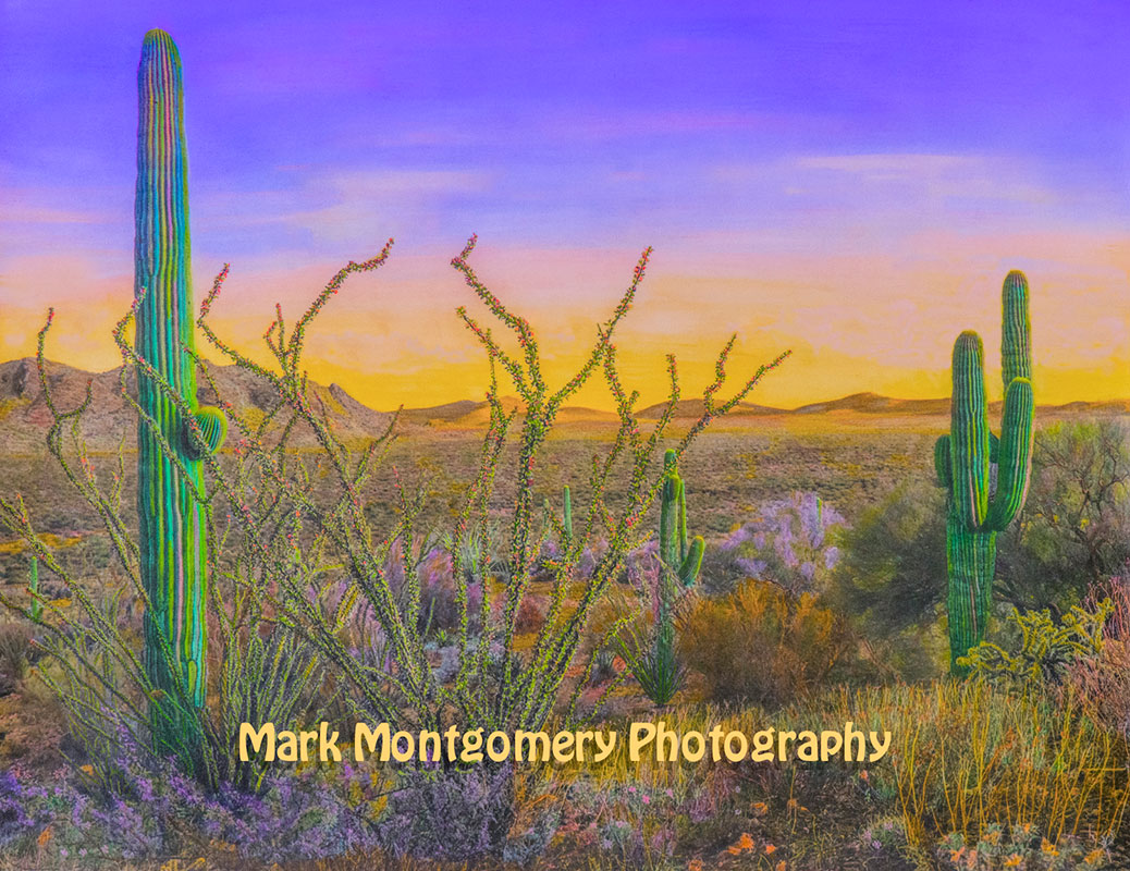 Desert solitude color